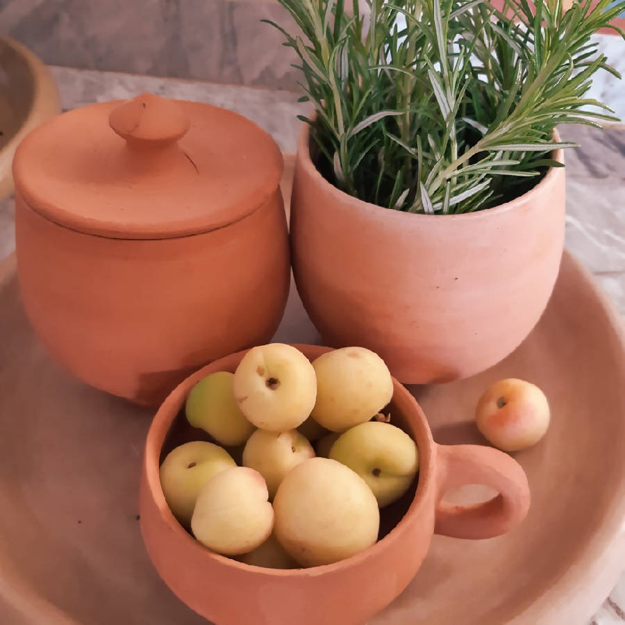 Terracotta containers with apples and a plant on a wooden surface