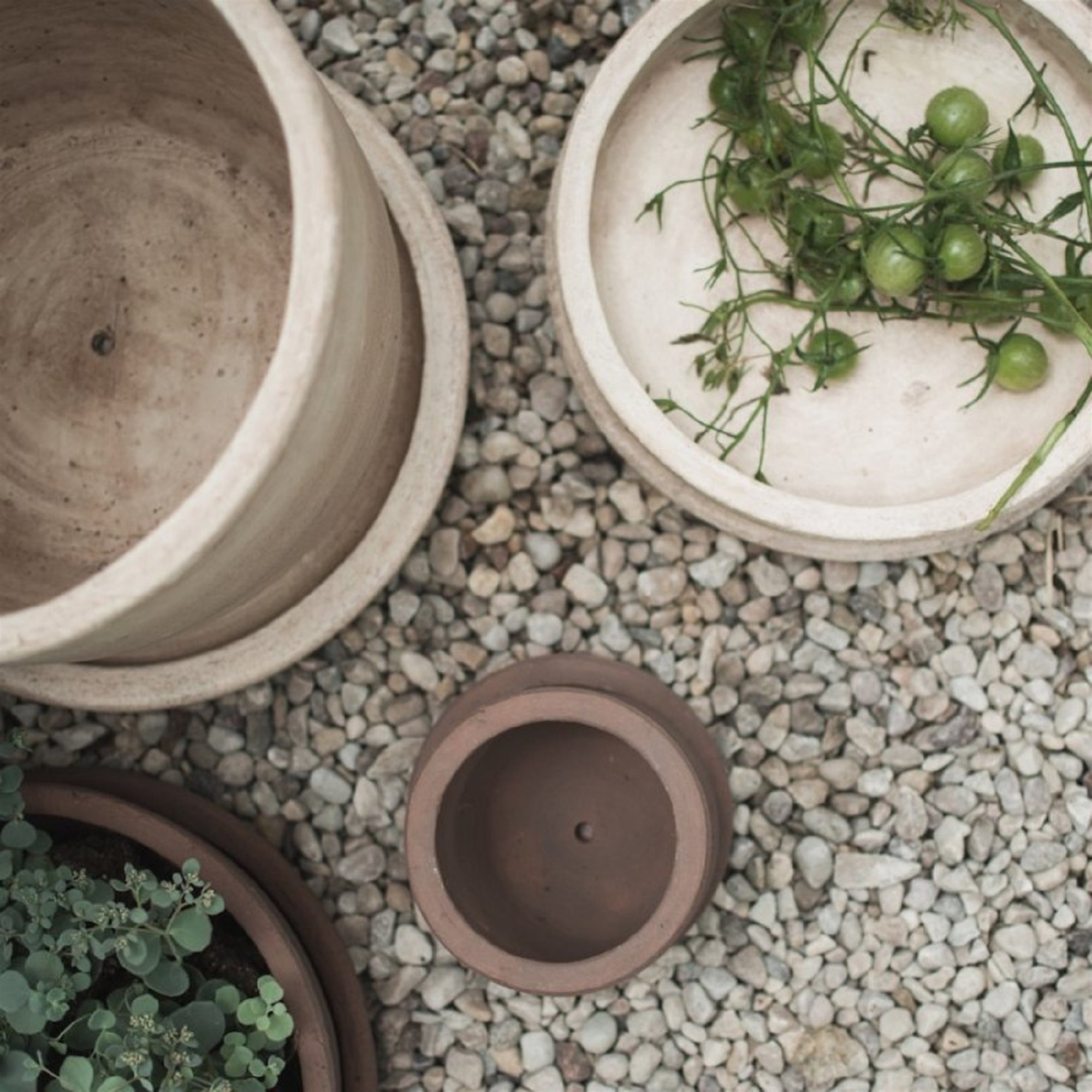 Three ceramic pots with plants on a gravel surface-Sorelle Rossi SHoppe 
