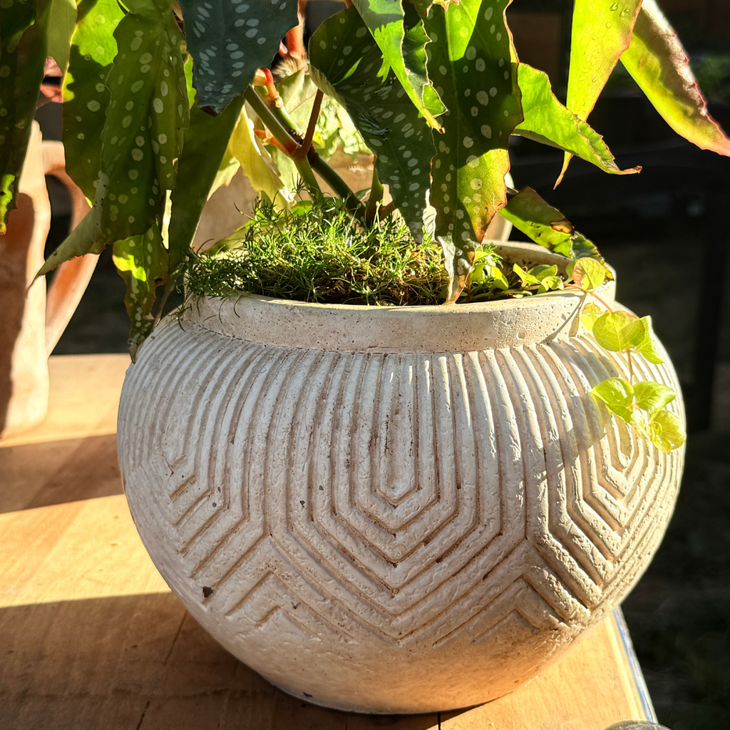 Linden Concrete Vessel, 8" × 6" | Natural Sandstone or Rustic Umber