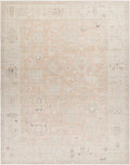 Beige and brown patterned rug on a plain background
