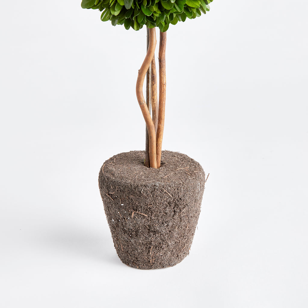 Preserved double ball boxwood topiary in a rustic textured planter for timeless European-inspired greenery styling | Sorelle Rossi Shoppe