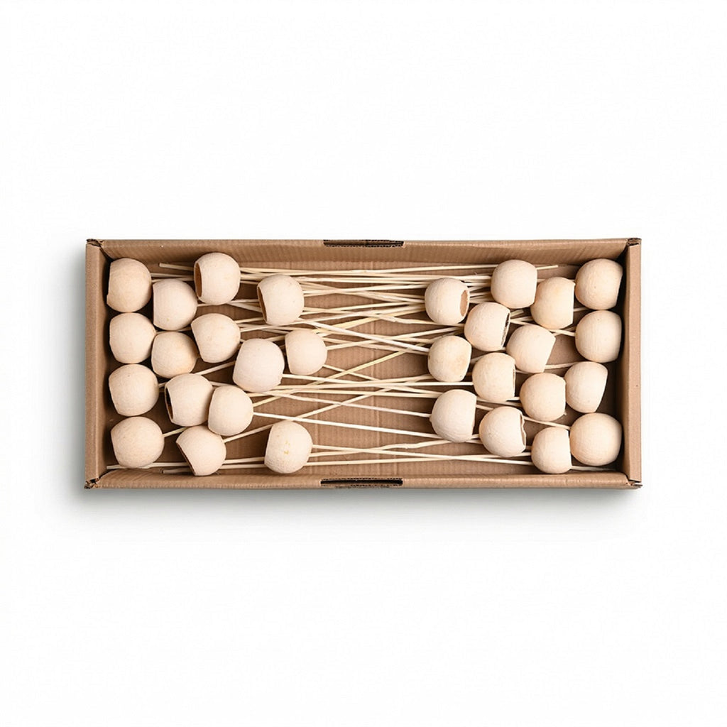 Neutral dried bell cup stems with soft natural tones and organic texture for timeless botanical home styling | Sorelle Rossi Shoppe