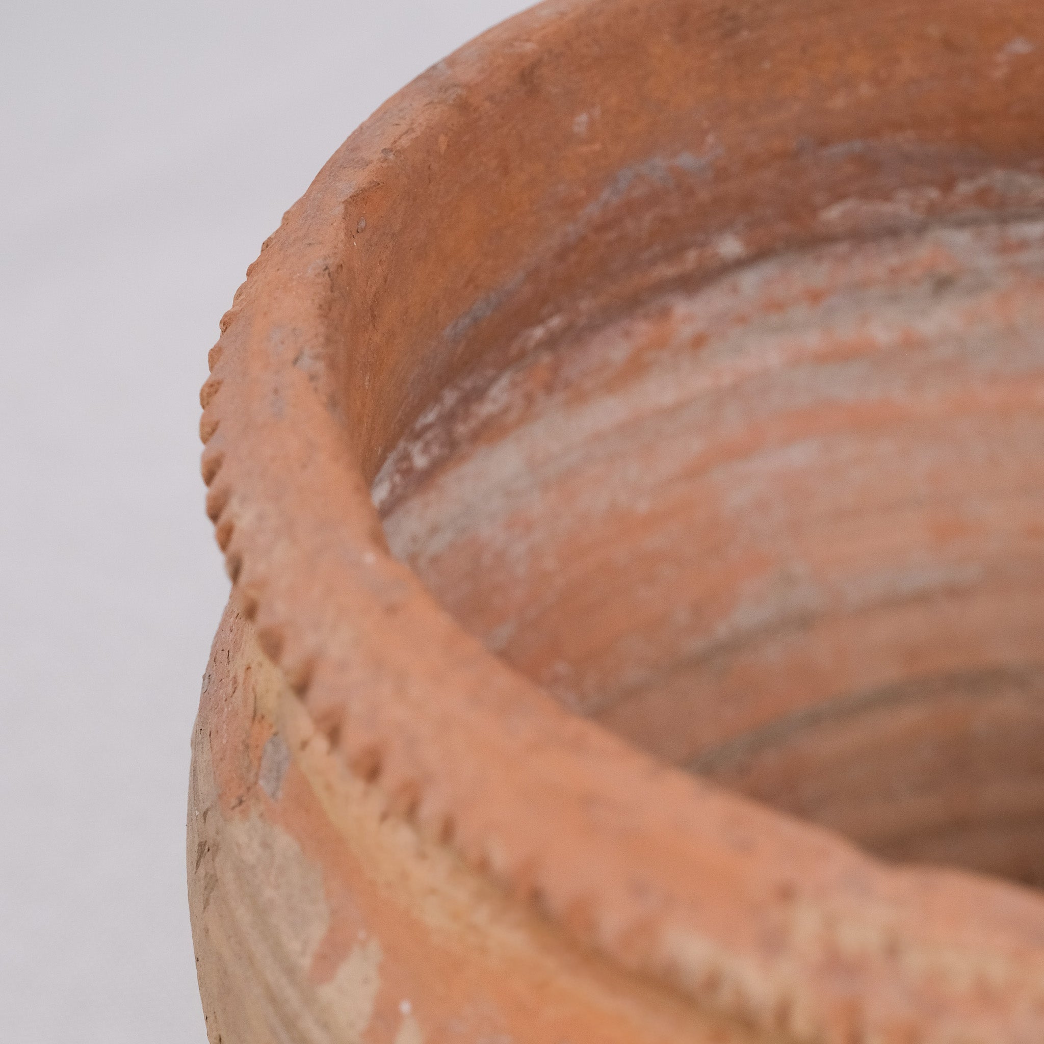 Close-up of a terracotta pot with a plain background