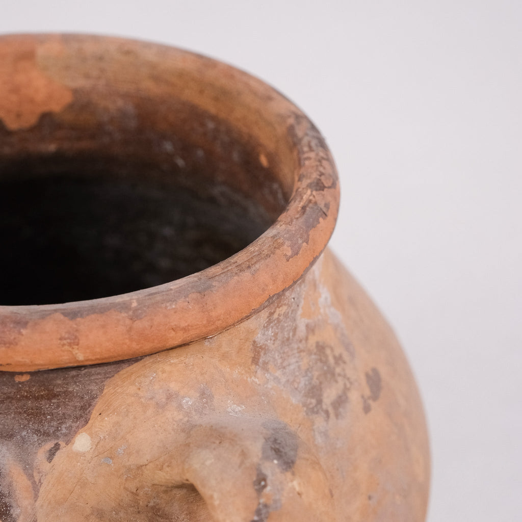 Close-up of a terracotta pot with a white background