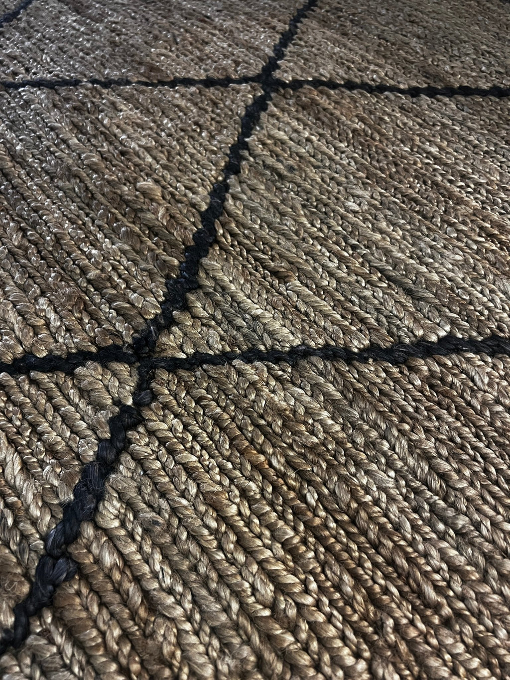 Agent Jones 6.6x9.9 Natural Black Jute Soumak