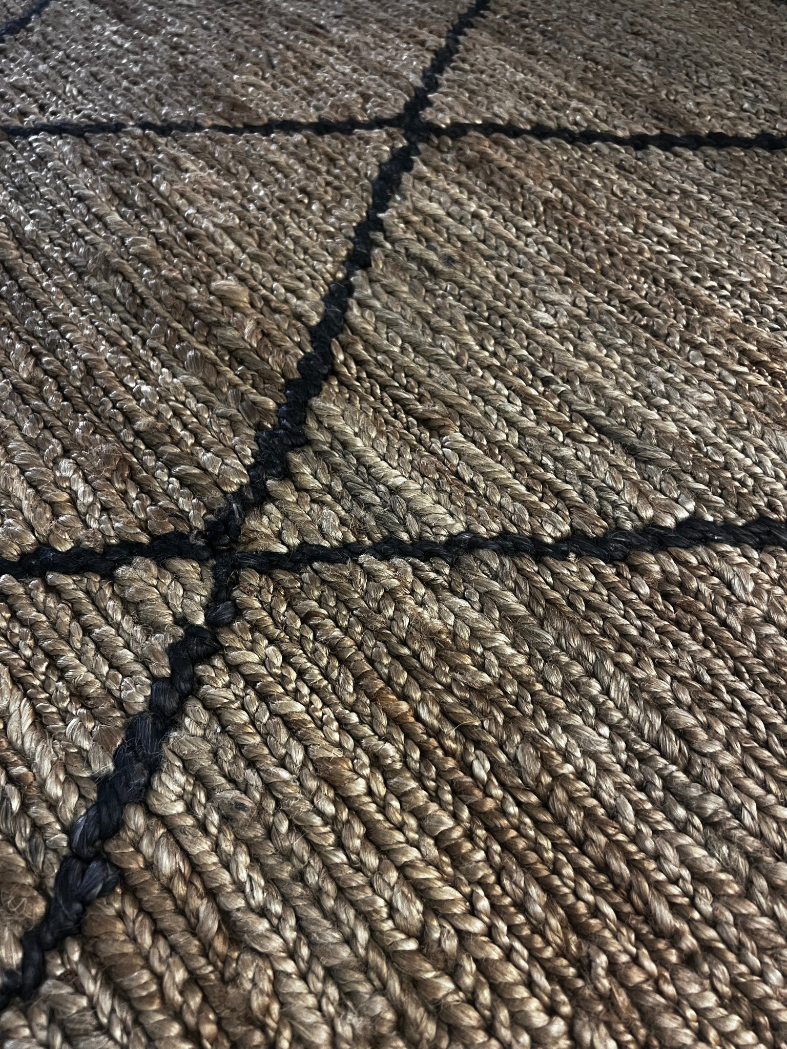 Agent Jones 6.6x9.9 Natural Black Jute Soumak