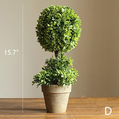 Potted topiary plant with a measurement label on a wooden surface and beige background