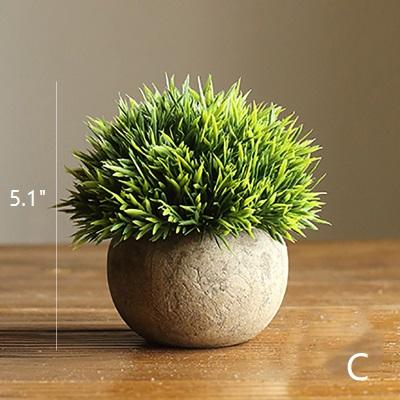 Small potted plant on a wooden surface with a measurement label indicating its height.