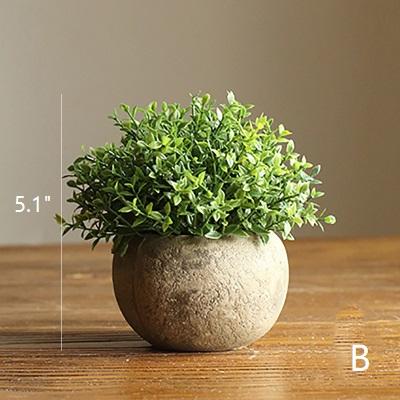 Small potted plant on a wooden surface with measurement label