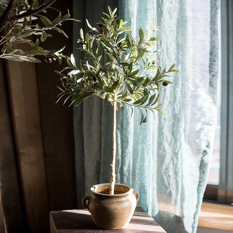 Potted plant on a windowsill with light filtering through curtains