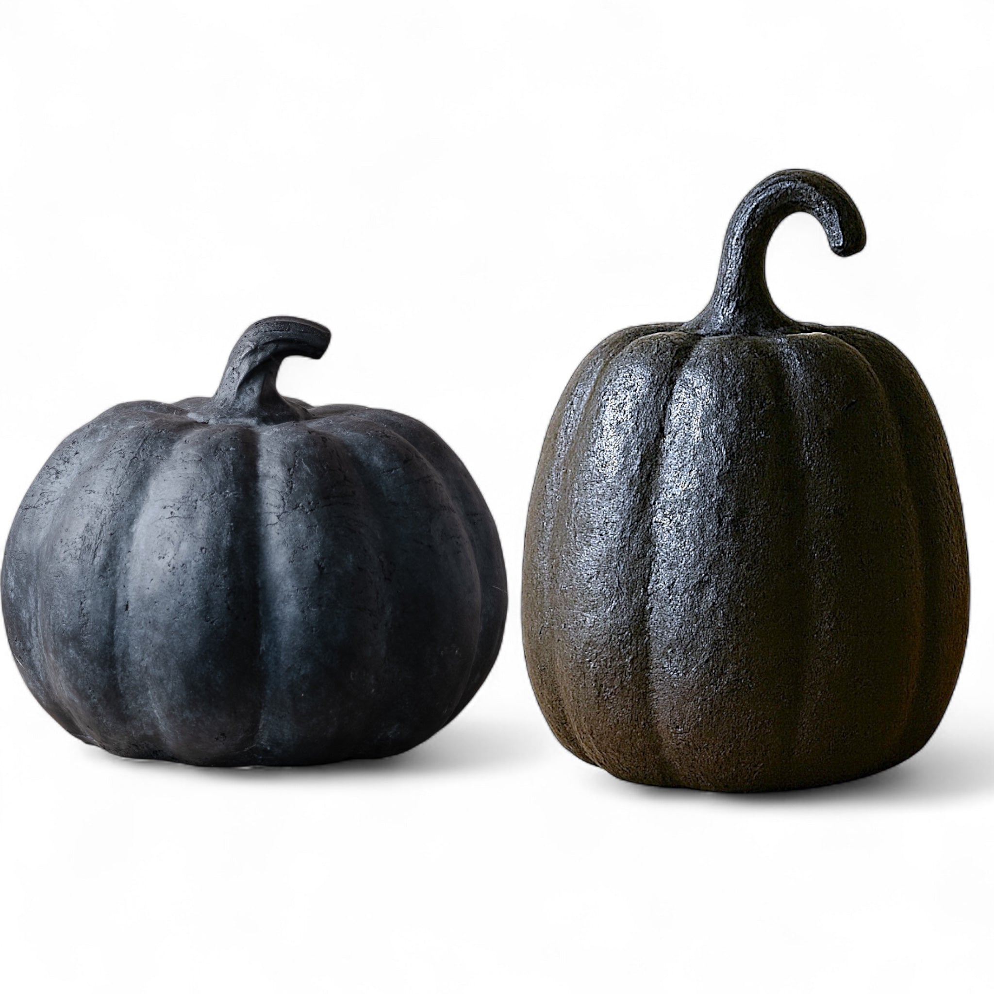 Two black pumpkins on a white background