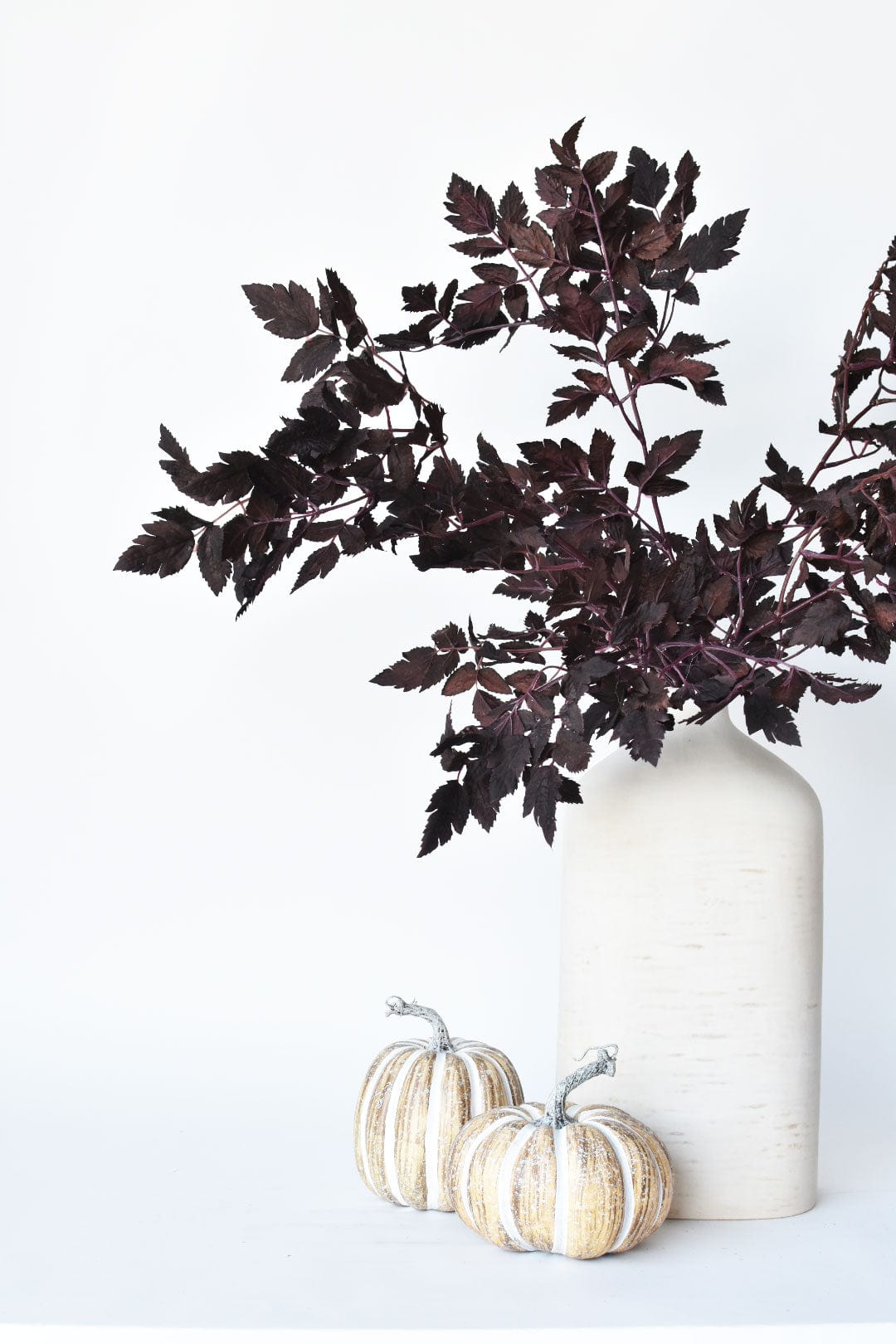 Decorative vase with dark leaves and small pumpkins on a white background