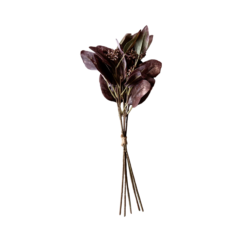Eucalyptus Ruby Flower Stem