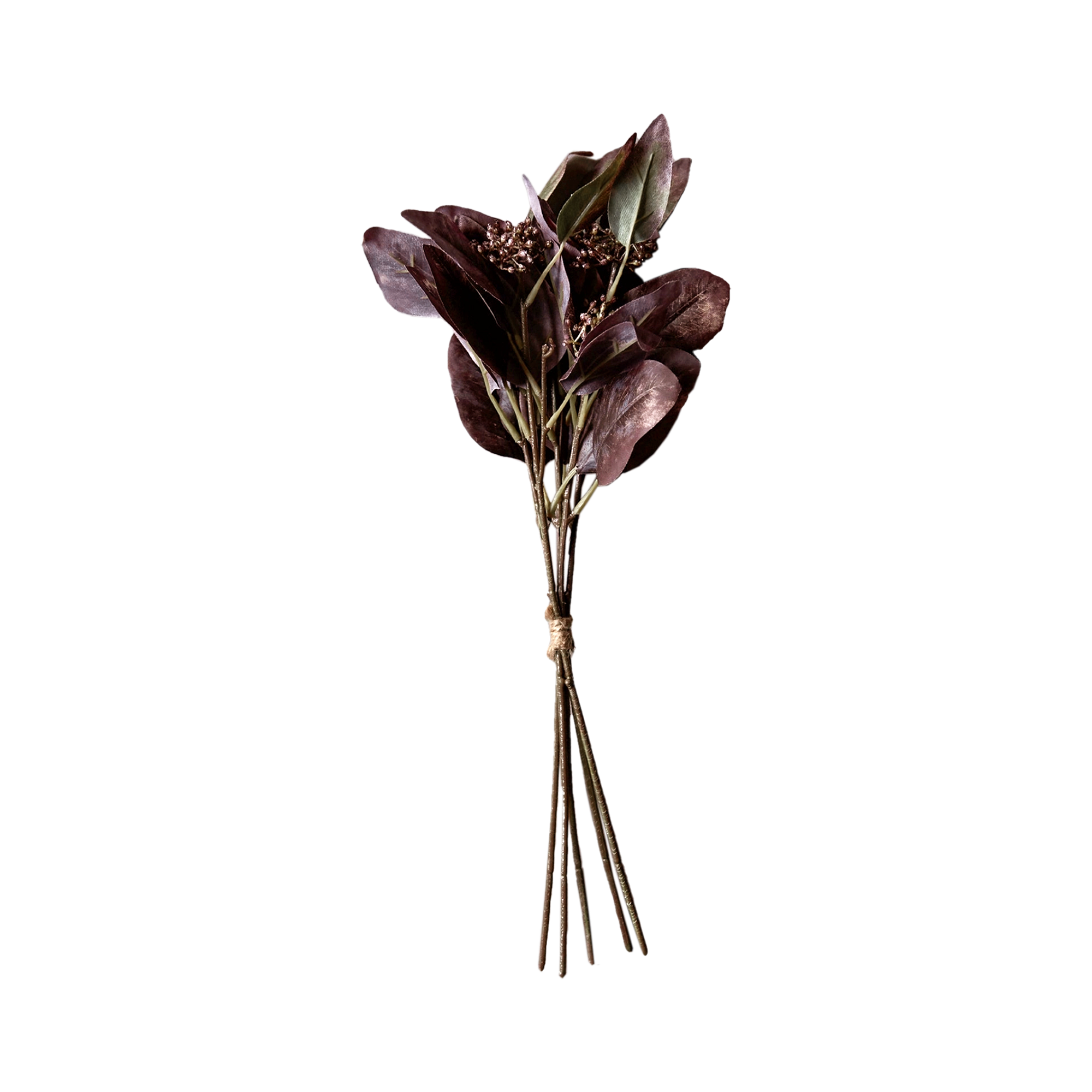 Eucalyptus Ruby Flower Stem
