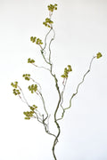 30" Faux Mini Fuzzy Blossom Branch, Soft Green