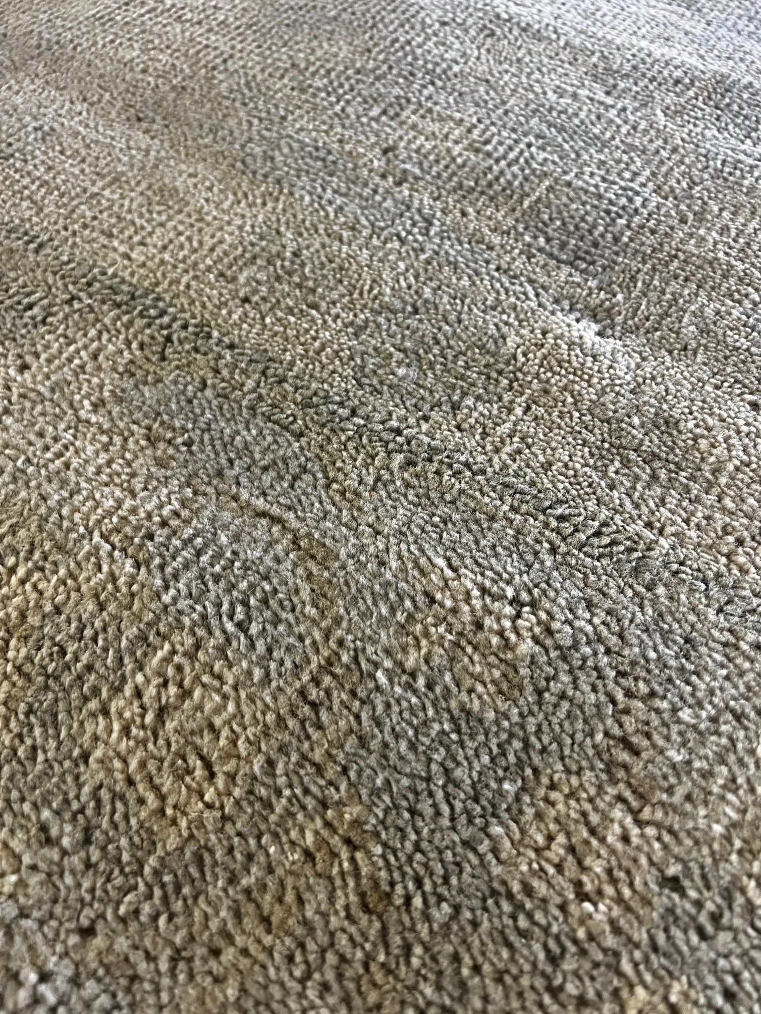 Hyacinth O'Hara 8x10 Aqua Hand-Knotted Oushak Rug