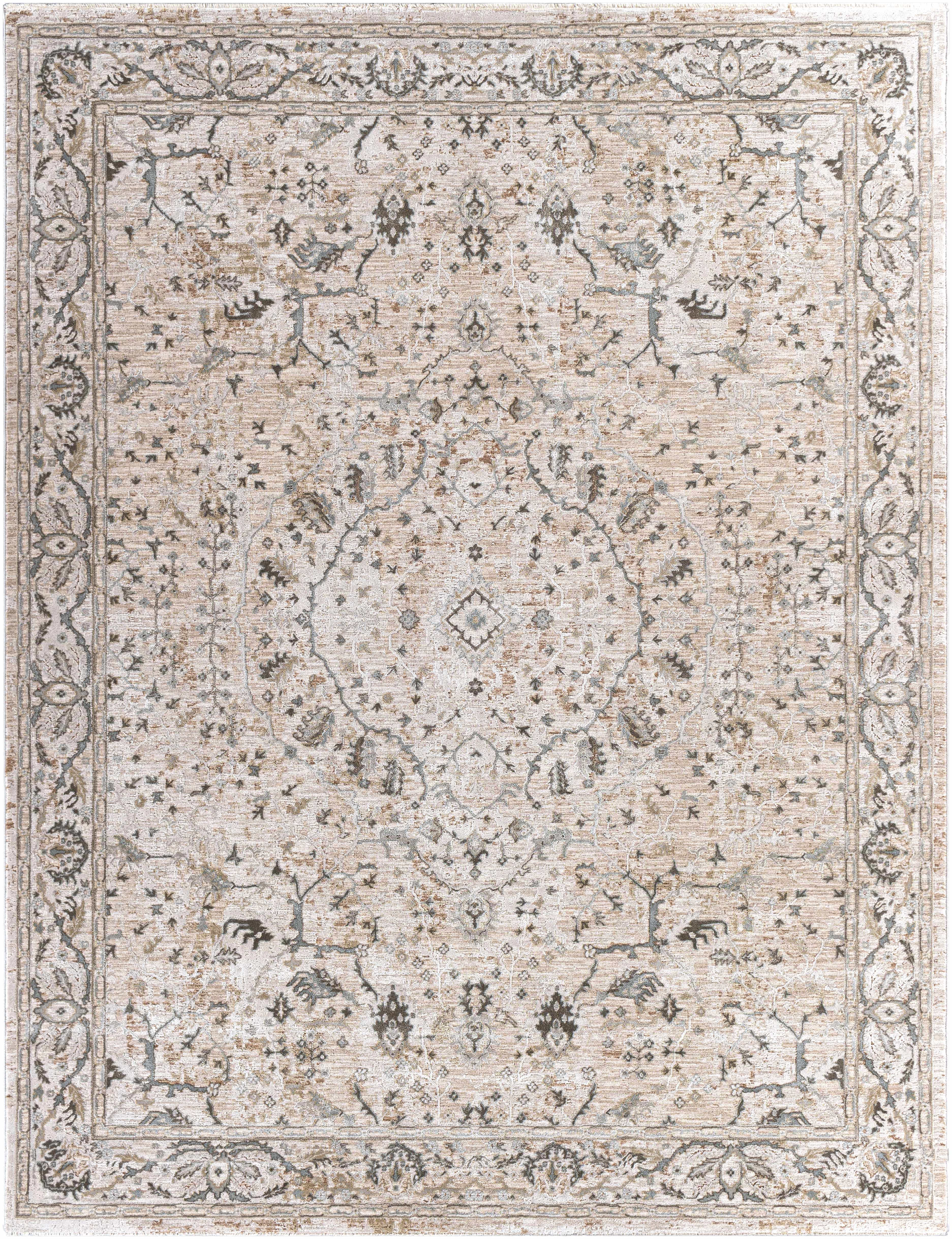 Decorative rug with intricate patterns and a border on a white background