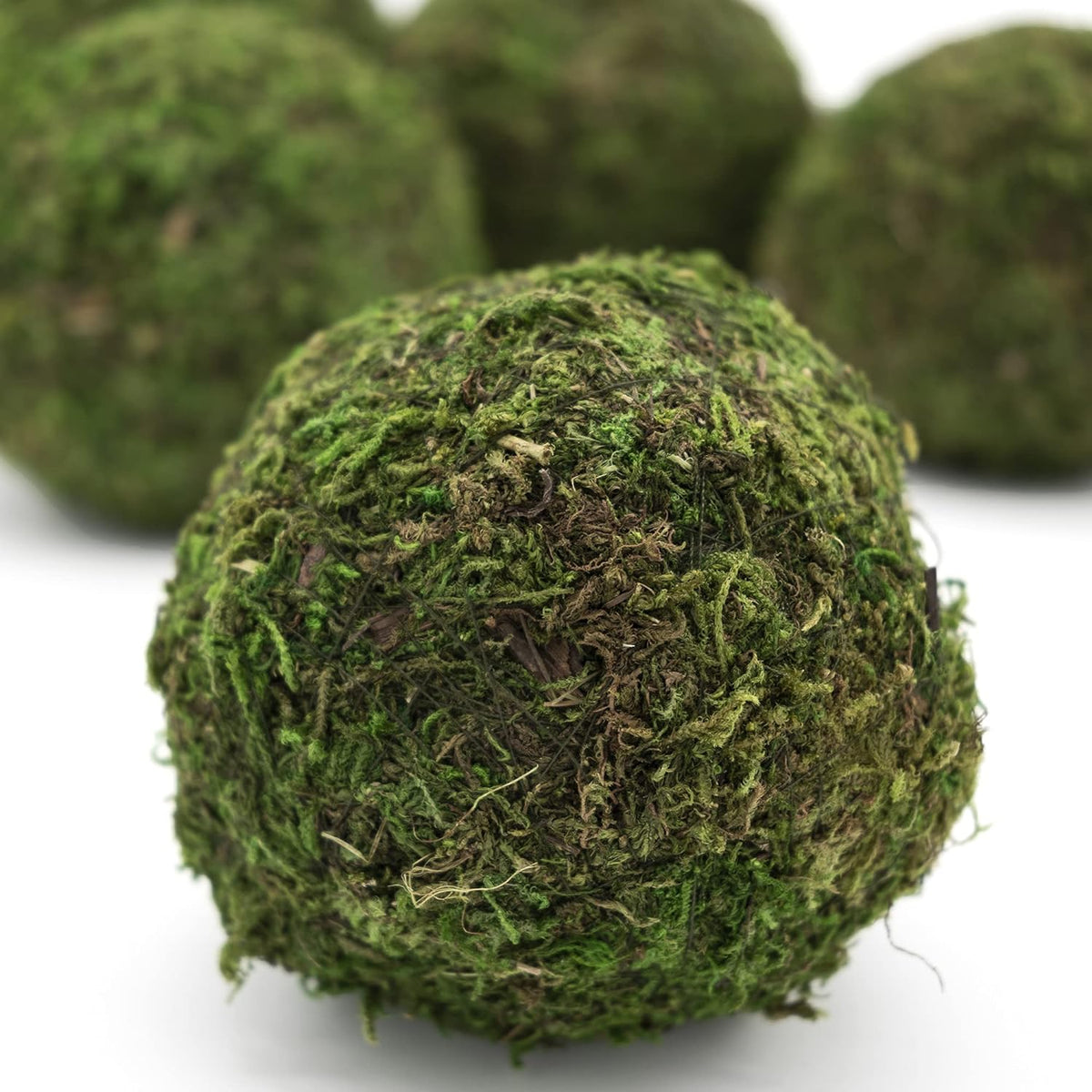 4" Preserved Moss Balls, Set of 6