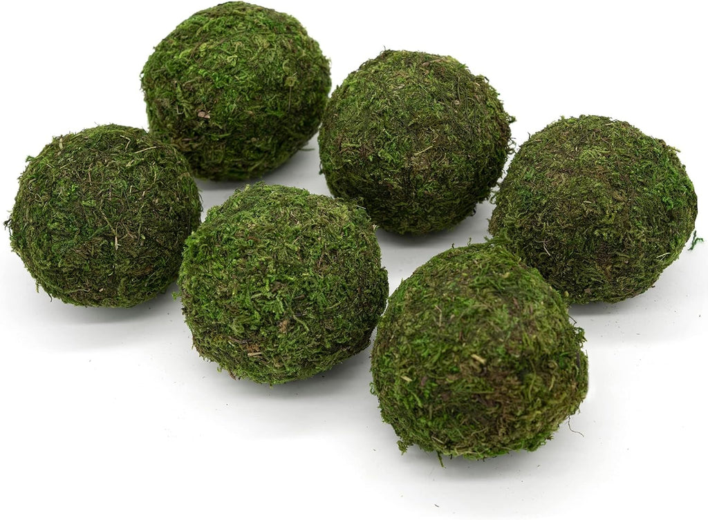 3" Preserved Moss Balls, Set of 6