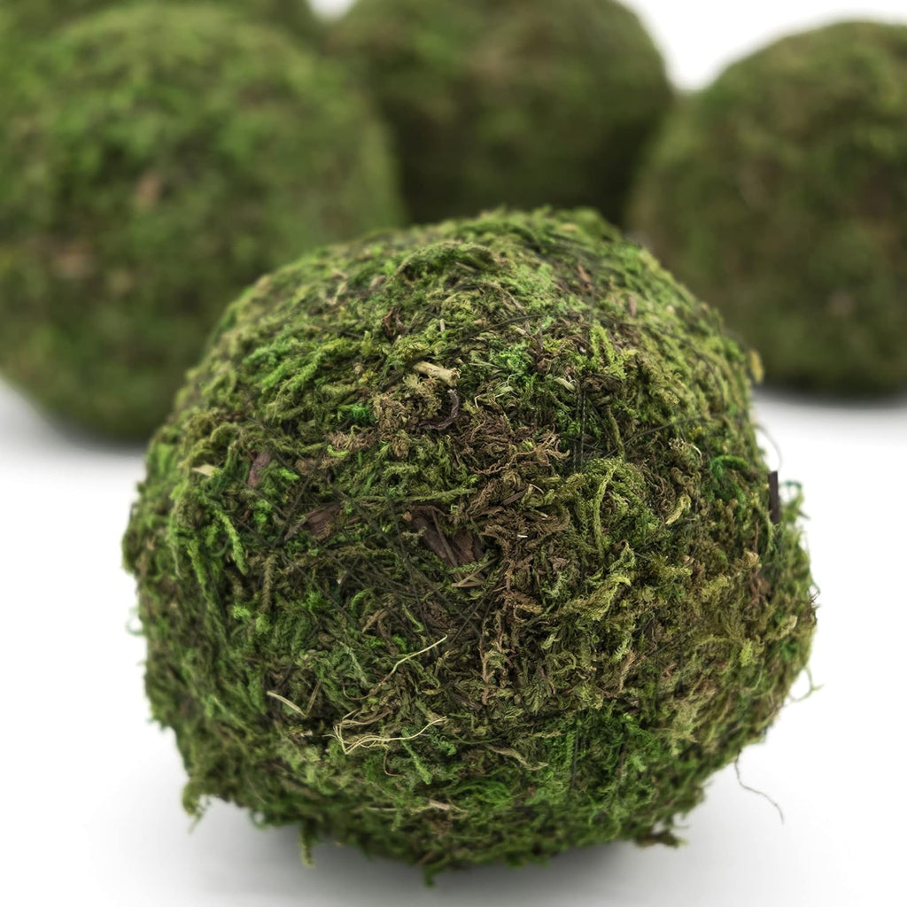 3" Preserved Moss Balls, Set of 6