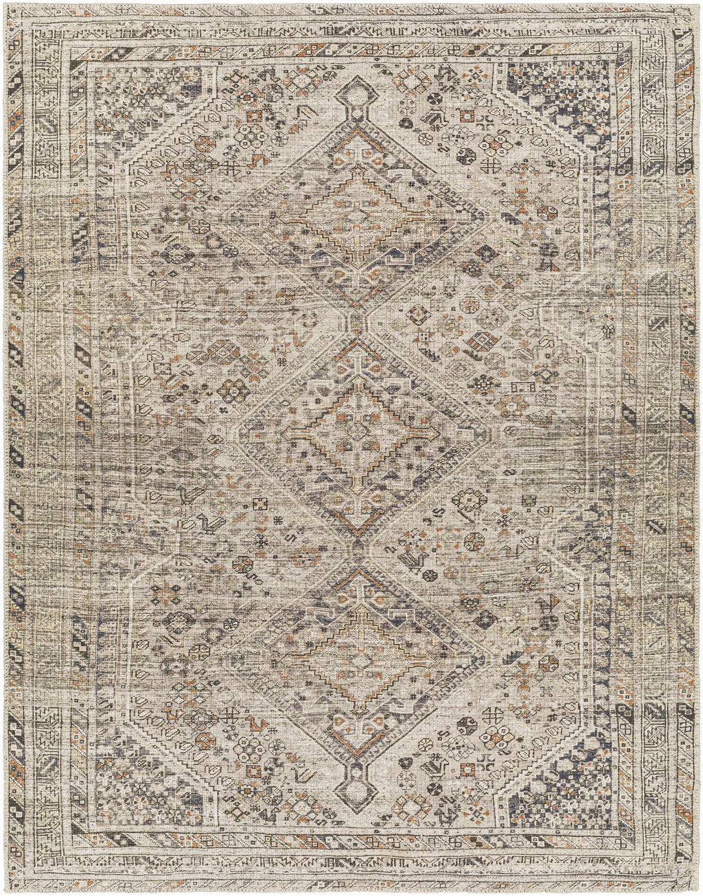 Barny Traditional Washable Area Rug - No-Pile