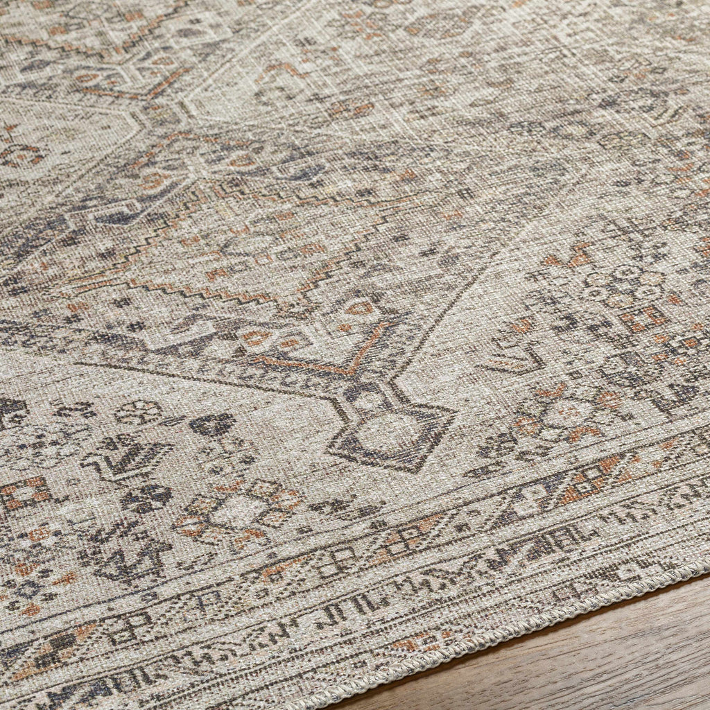 Barny Traditional Washable Area Rug - No-Pile