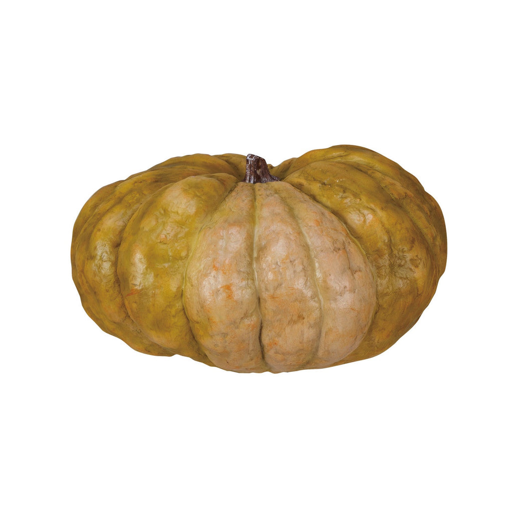 Greenish-brown pumpkin on a white background