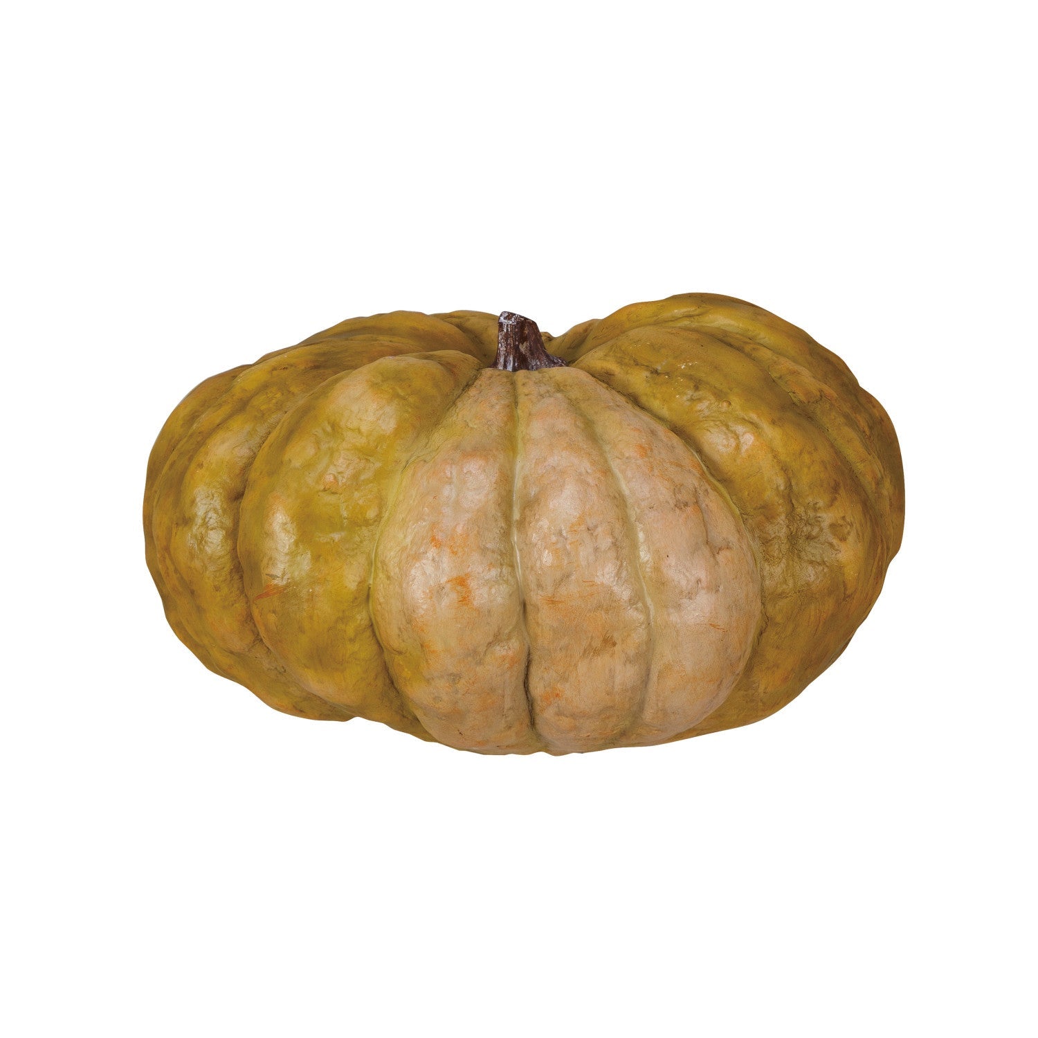 Greenish-brown pumpkin on a white background